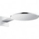tête de douche 300 2jetavec bras de douche 450 mm chroméé