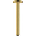 Bras de douche S 300 mm plafond M 1/2aspect doré poli