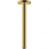Bras de douche S 300 mm plafond M 1/2aspect doré poli