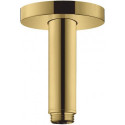 Bras de douche S 100 mm plafond M 1/2aspect doré poli