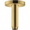 Bras de douche S 100 mm plafond M 1/2aspect doré poli
