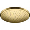 tête de douche Croma 280 1jet Ecosmart aspect doré poli