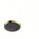 tête de douche 250 1jet aspect doré poli