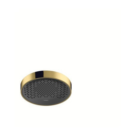 tête de douche 250 1jet aspect doré poli