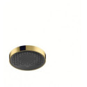 tête de douche 250 1jet aspect doré poli