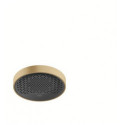 tête de douche 250 1jet EcoSmart bronze brossé