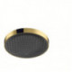 tête de douche 360 1jet aspect doré poli