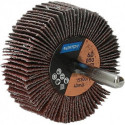 Disque à lamelle sur tige R207Plus 50x20x6 P60 (Par 10)