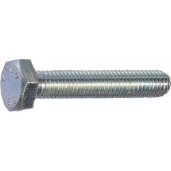Vis hexagonale SKS 8x30 (Par 100)
