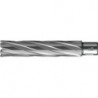 Foret trépan HKE-L Weldon HM extralong 53/110 mm BDS