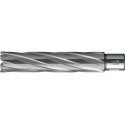Foret trépan HKE-L Weldon HM extralong 57/110 mm BDS
