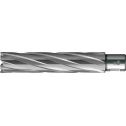 Foret trépan HKE-L Weldon HM extralong 59/110 mm BDS