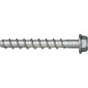 Vis à béton CELO BTS B 6-55/5 hexagonal Kopf ZnAl (Par 100)