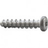 Vis à béton CELO BTS5 PT 5-45/20 Pan head TX25 ZnAl (Par 100)