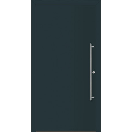 Porte d'entrée en métal Home RAL 7016 B.1100mm H.2100mm DIN gauche RC 2 n.DIN EN 1627 PROMAT