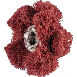 Étoile abrasive POLINOX D. 25 mm granulation 280 2 couches 19100 min-¹ PFERD
