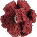 Étoile abrasive POLINOX D. 38 mm granulation 280 3 couches 12600 min-¹ PFERD
