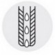 Fraise à fileter GFS en carbure monobloc, arrosage central, 1,5 x d, sans revêtement, Filetage : M16, Pas 2,00 mm, Lames de l1 27,0 mm