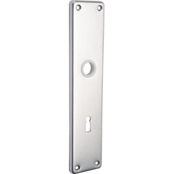 Plaque porte 220 Z VA F00 BB distance 72mm EDI