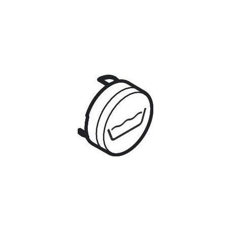 Bouton poussoir HG Symbol tête de douche Rain klein