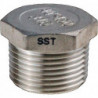 Bouchon EN 10226-1 NPS-1/4 pouce 6-pans L 15.5mm SPRINGER (Par 10)
