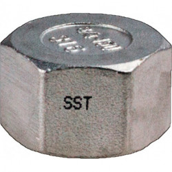 Bouchon EN 10226-1 NPS-1/4 pouce 6-pans L 18mm SPRINGER (Par 10)