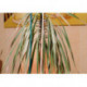 Bâton à fendre nature Ø 4-45mm 50cm 10 botte