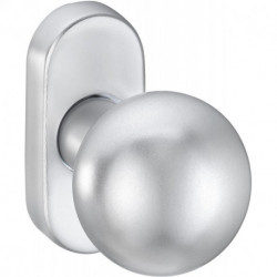 Bouton sur rosace. 2033/5020.couleur argent
