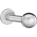 Bouton sur rosace. 1052/4020.couleur argent