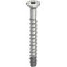 Vis d'ancrage MULTI-MONTI-plus F 12x95/5 A4 (Par 20)