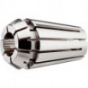 Pince de précision DIN6499B 430E GERC25 6.0mm FAHRION