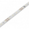 Lumière LED Versa Plus 80 12VDC cw L5m 4.8W/m LTG 2x1.8m M1