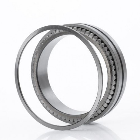 Roulements à rouleaux cylindriques SL014920 ID 100mm AD 140mm Largeur 40mm INA