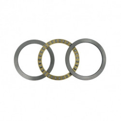 Roulements à rouleaux cylindriques axiaux Ext 150mm Int 85mm 339kg INA