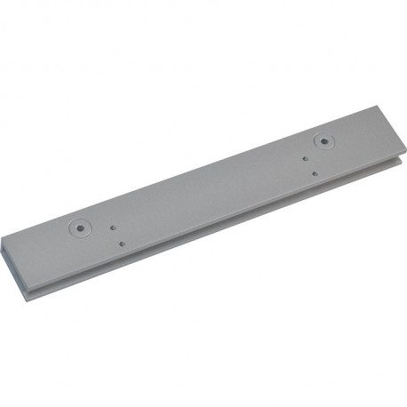 Patin de porte en verre TS 97 argenté pour VSG en ESG