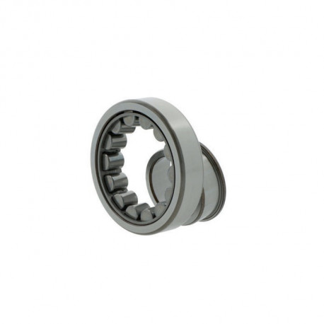 Roulements à rouleaux cylindriques 19mm Ext 85mm Int 45mm foret cylindrique .SKF