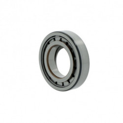 Roulements à rouleaux cylindriques 23mm Ext 120mm Int 65mm foret cylindrique .SKF
