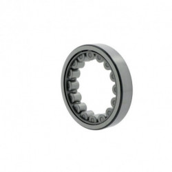 Roulements à rouleaux cylindriques 22mm Ext 110mm Int 72mm foret cylindrique .SKF