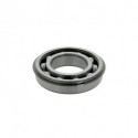 Roulements à billes 21mm Ext 100mm Int 55mm SKF