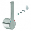 Levier GROHE 46984 acier