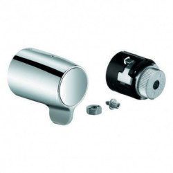 Poignée de contrôle de température GROHE Grohtherm Special 49008 chromé