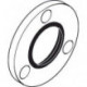 Rosace HG pour Quattro d:108mm steel