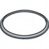 Rosace HG4L Support de douche