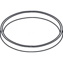 Bague d'insertion HG Axor