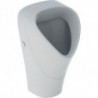 Geberit Urinal RENOVA trigonal Zul v hint Ab nach hinten weiß