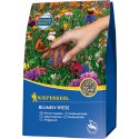 Graine fleur 250Taille