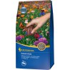 Graine fleur 1 kg