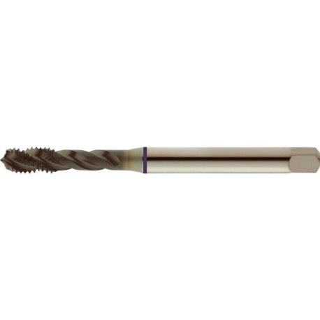 Taraud machine pour trous borgnes, surface traitée à la vapeur, DIN 376 C, Filetage M16, Pas 2,0 mm, Long. totale : 110 mm, queue Ø 12,0 mm